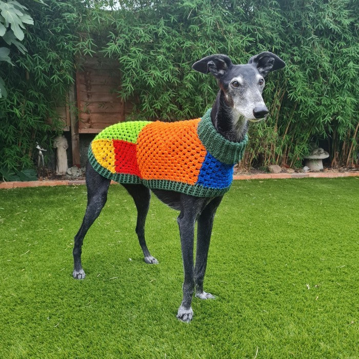 Wally - Dog Jumper