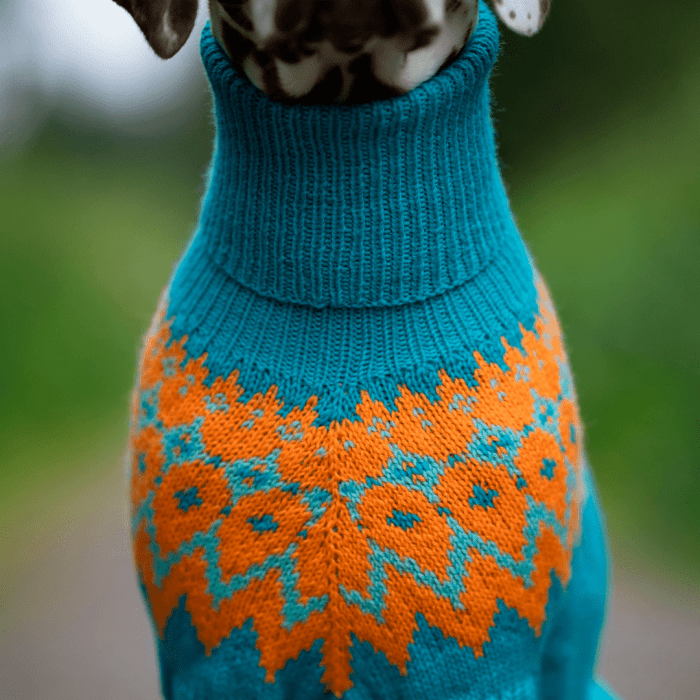 Dalmatian - Dog Sweater