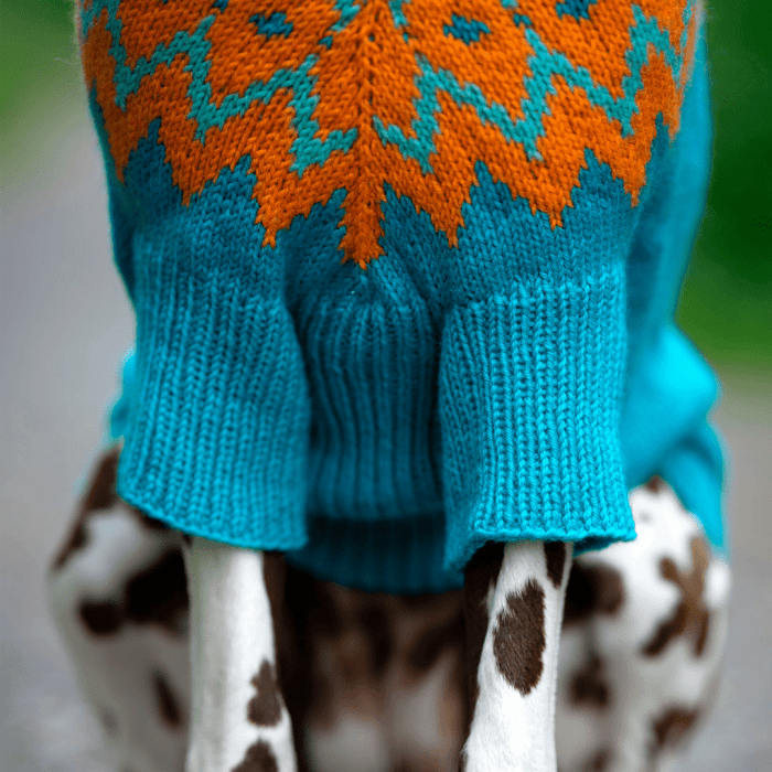 Dalmatian - Dog Sweater