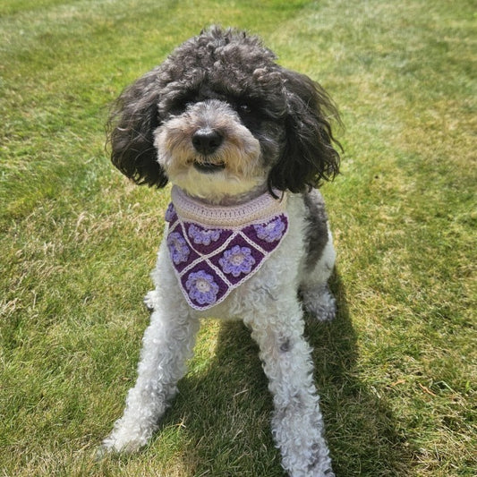 Millie’s - Dog bandana