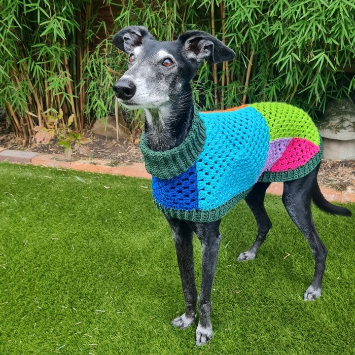 Wally - Dog Jumper