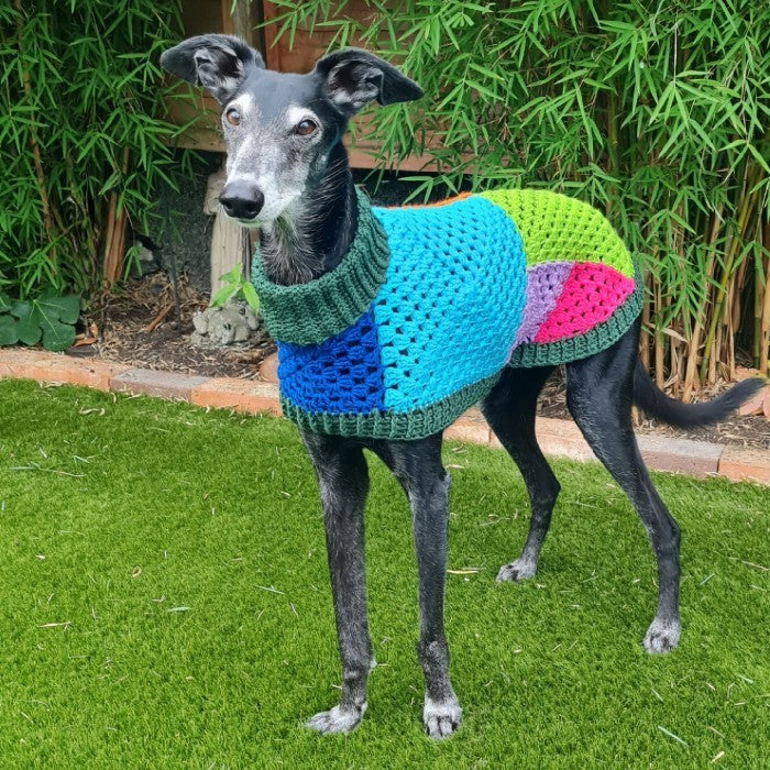 Wally - Dog Jumper