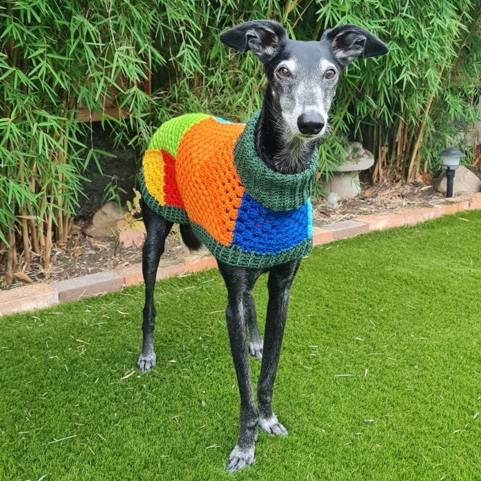 Wally - Dog Jumper