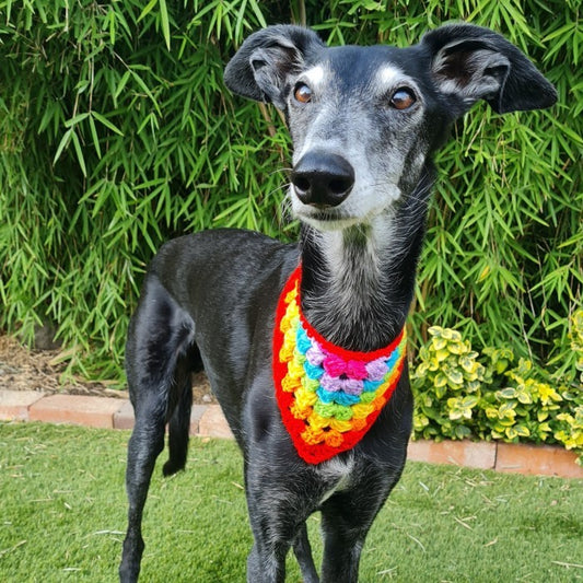 Dandy - Dog Bandana