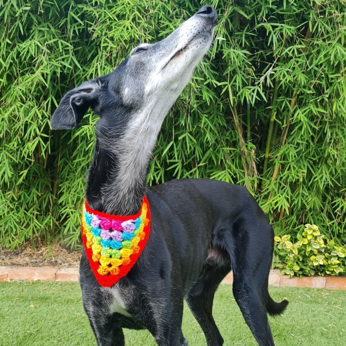 Dandy - Dog Bandana