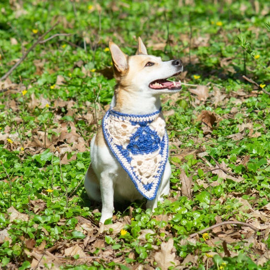 Gina - Dog bandana